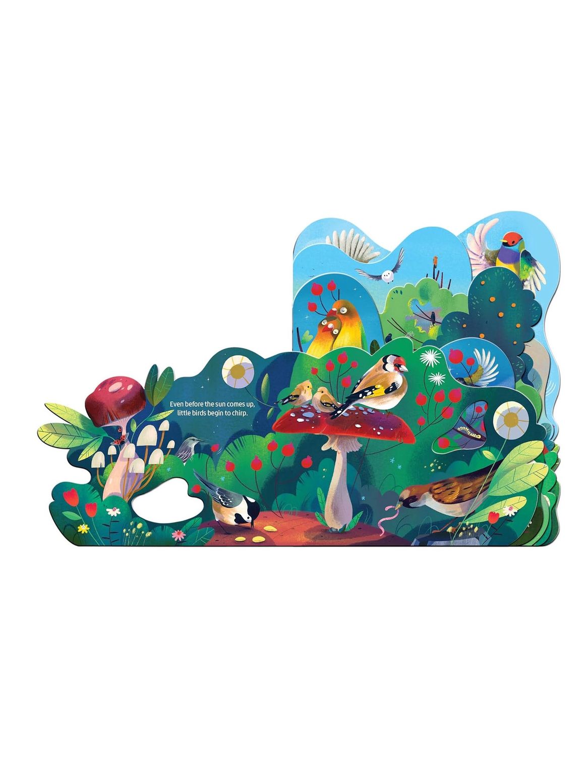 Birdsong Board Book