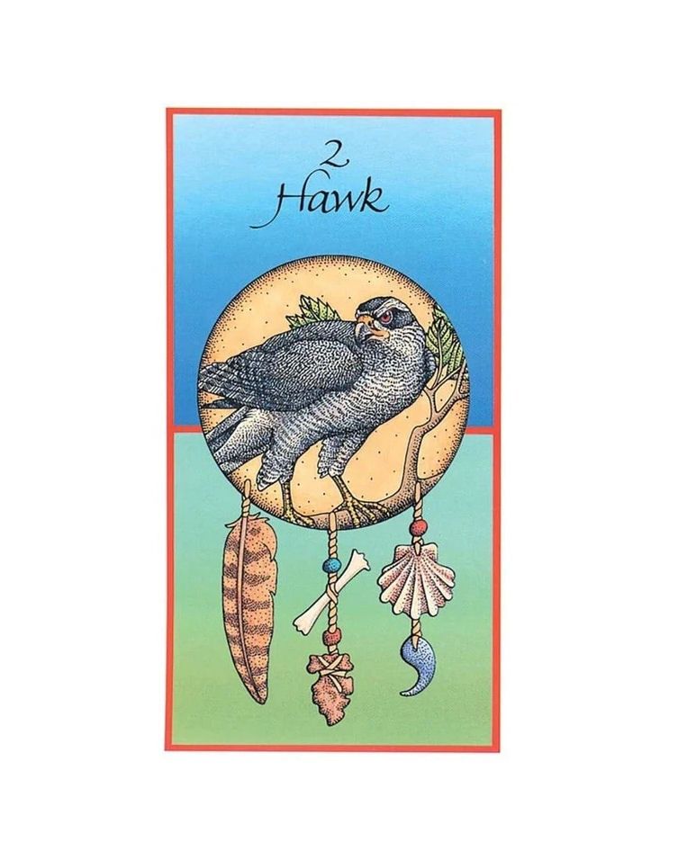 Animal Medicine Card Deck