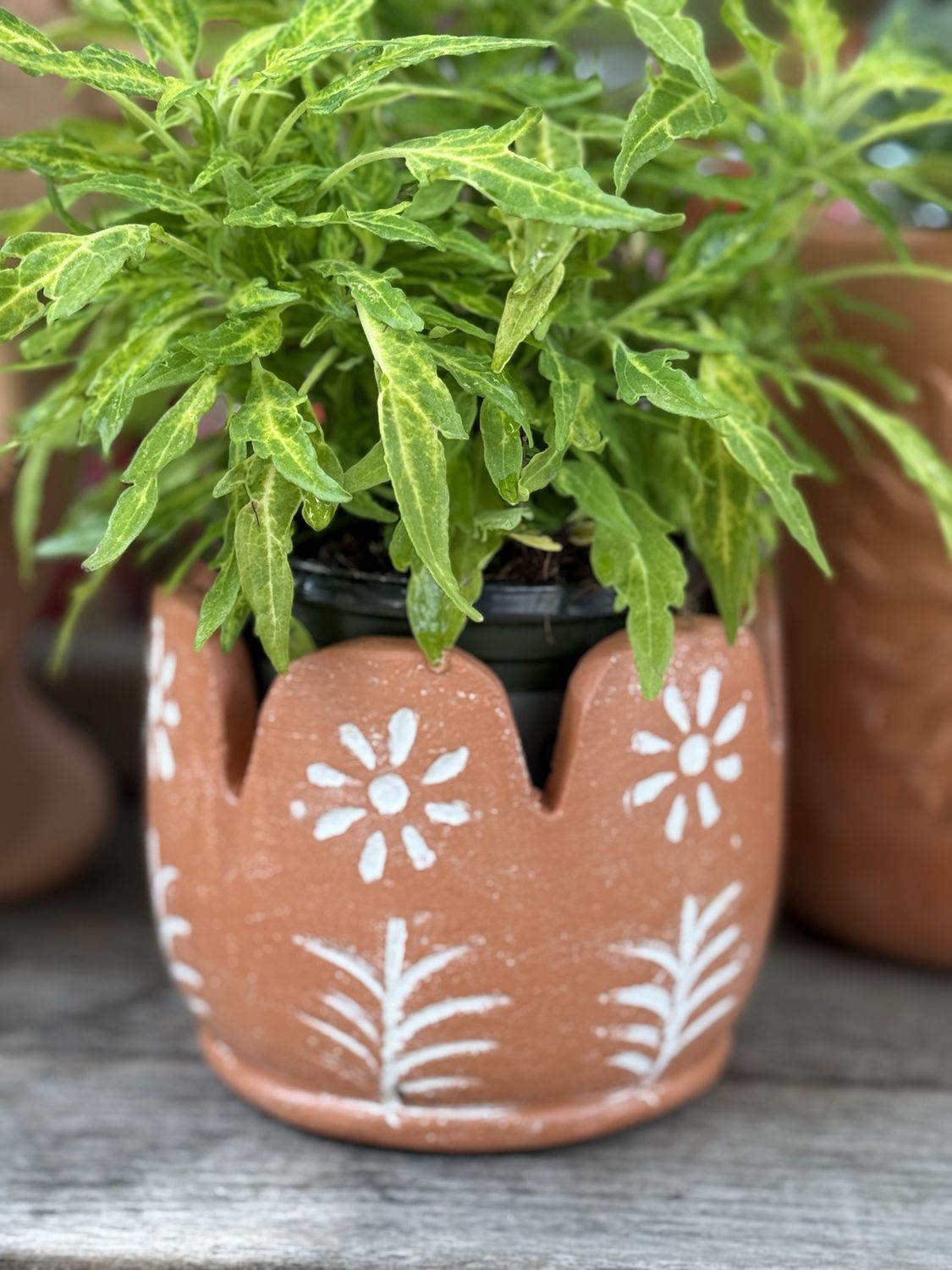 Petals White Flower Planter Terracotta