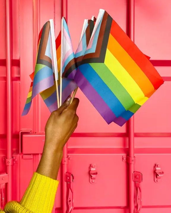 Pride Progress Flag Mini