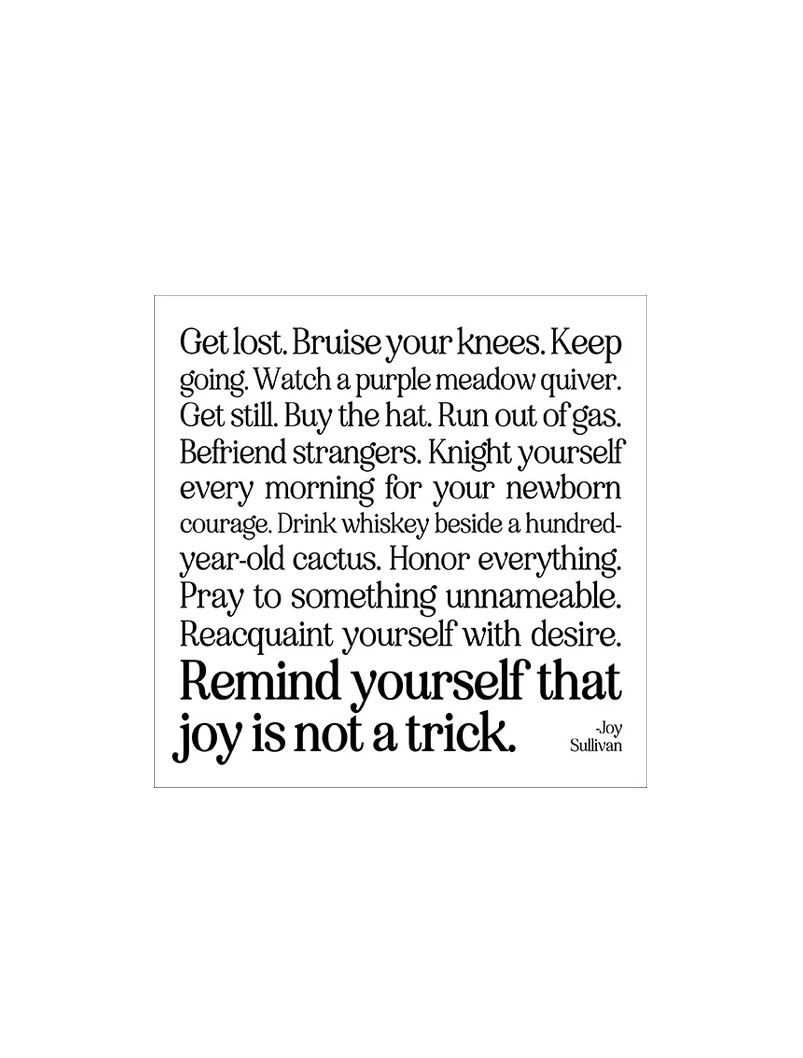 Remind Yourself That Joy Is Not A Trick Magnet