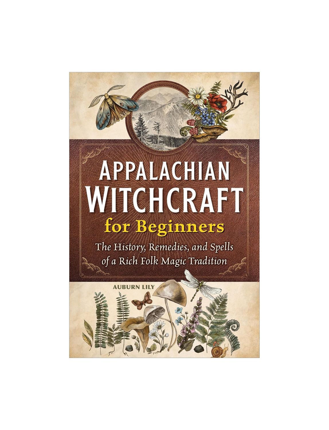 Appalachian Witchcraft For Beginners Paperback Book
