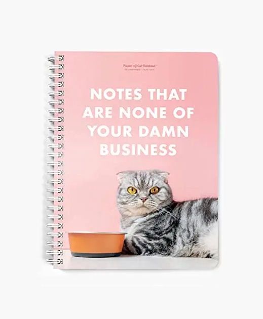 Notes That Are None Of Your Damn Business Notebook