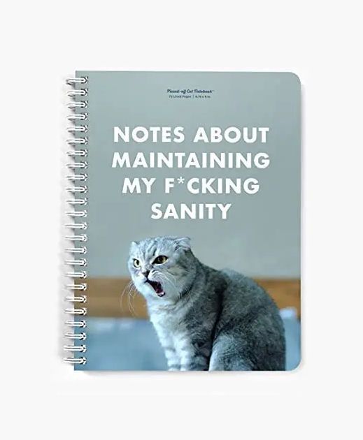 Notes About Maintaining My Fucking Sanity Notebook