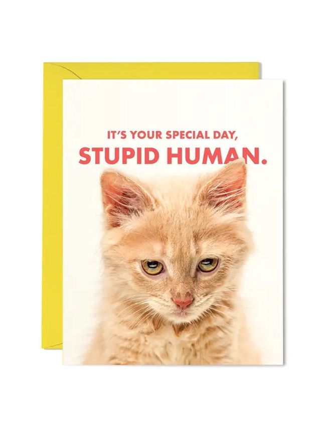 It&#39;s Your Special Day, Stupid Human Card