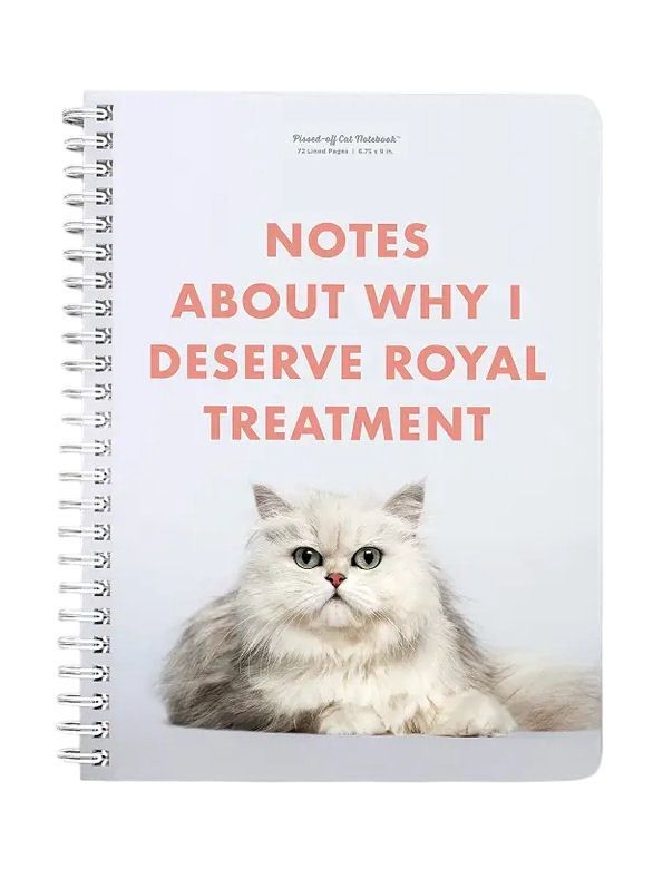 Notes About Why I Deserve Royal Treatment Notebook