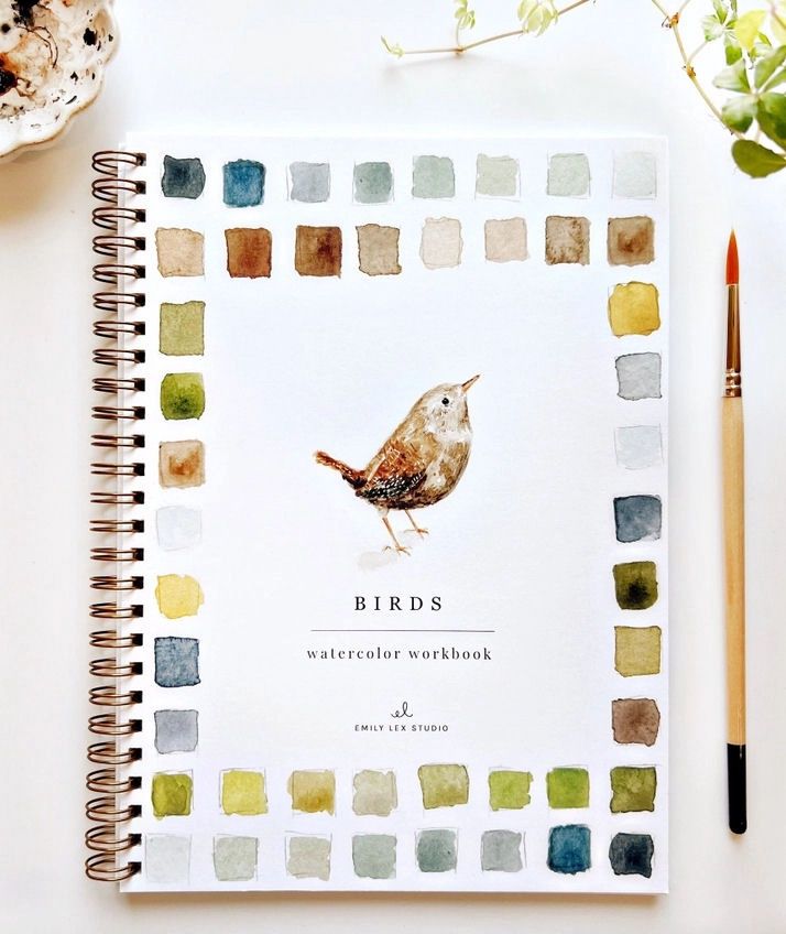 Birds Watercolor Workbook