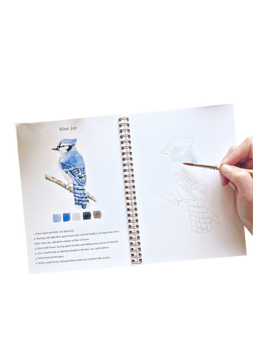 Birds Watercolor Workbook