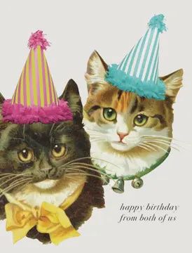 Happy Birthday From Both Of Us Party Cats Card