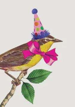 Birthday Bird Mini Enclosure Card