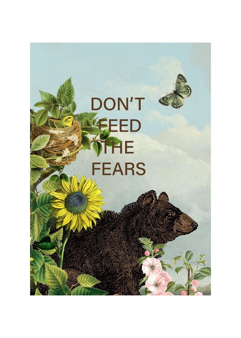 Don&#39;t Feed The Fears Large Card