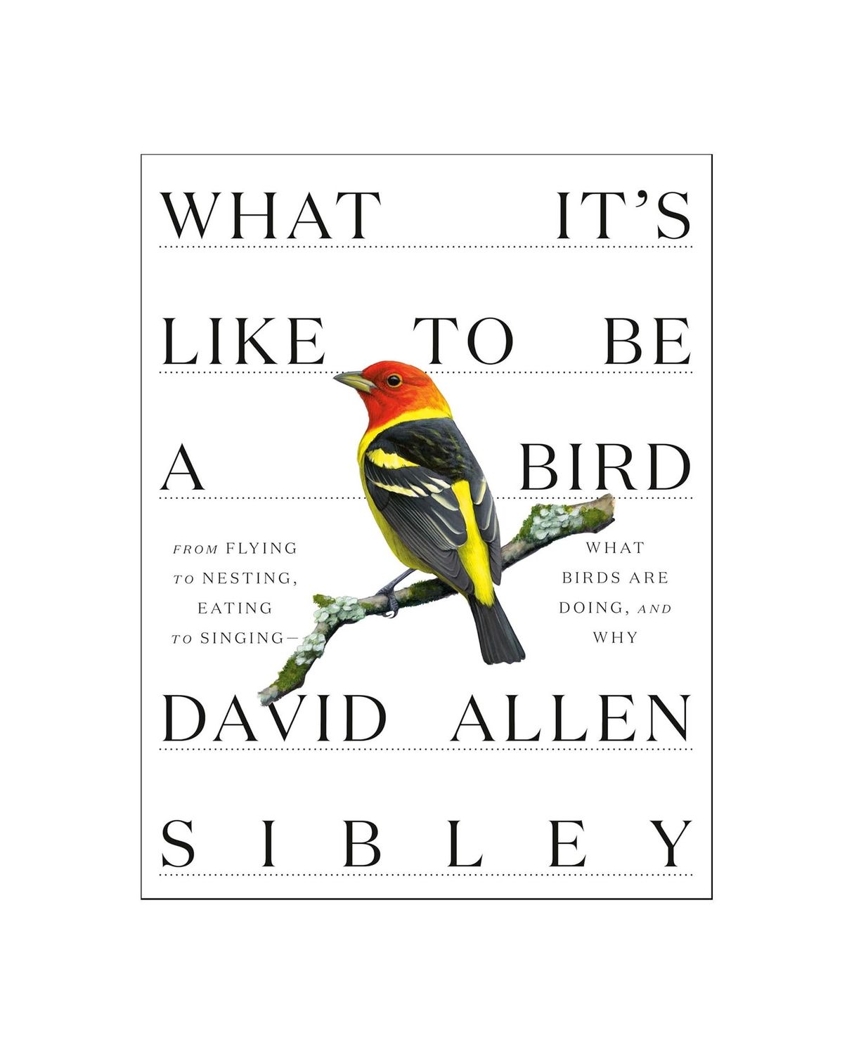 What It’s Like To Be A Bird Hardcover Book