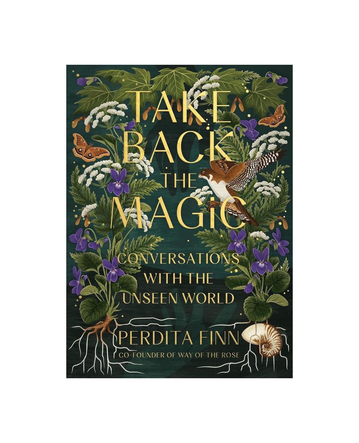 Take Back The Magic Conversations With The Unseen World Hardcover Book