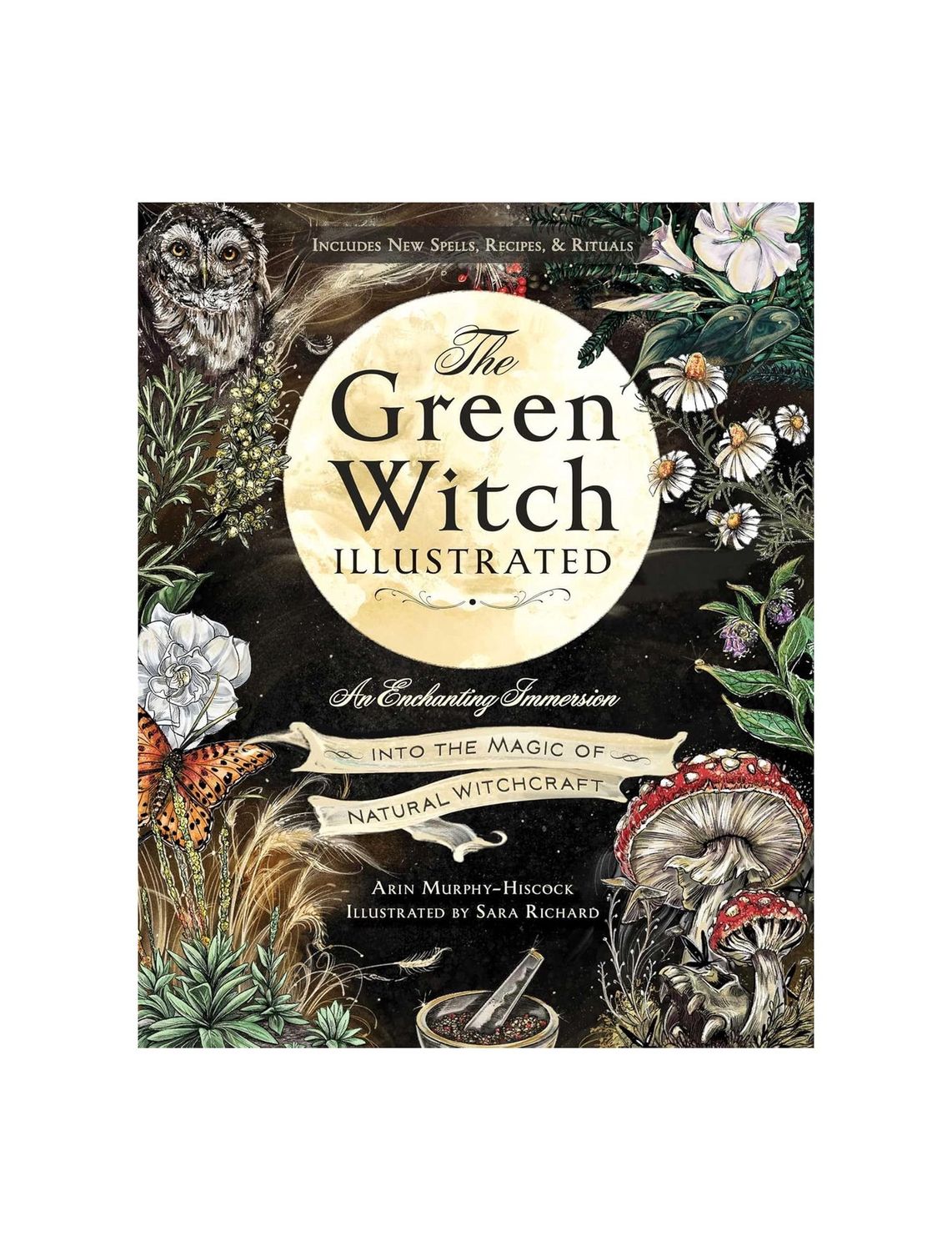 The Green Witch Illustrated Hardcover Book