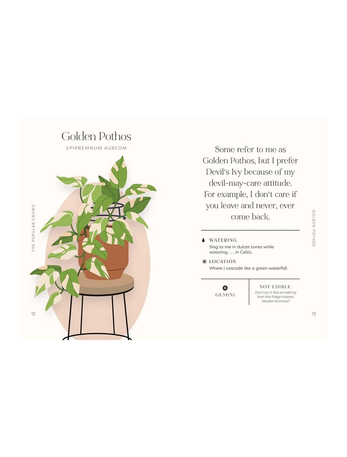 House Plants And Their Fucked Up Thoughts Hardcover Book