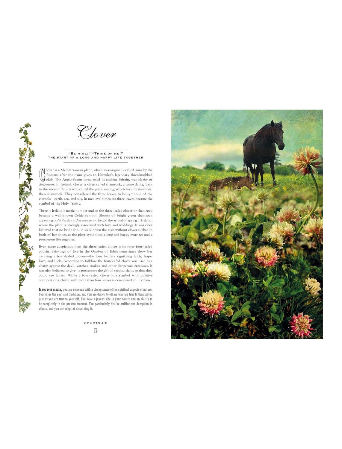 The Secret Language Of Flowers Hardcover Book