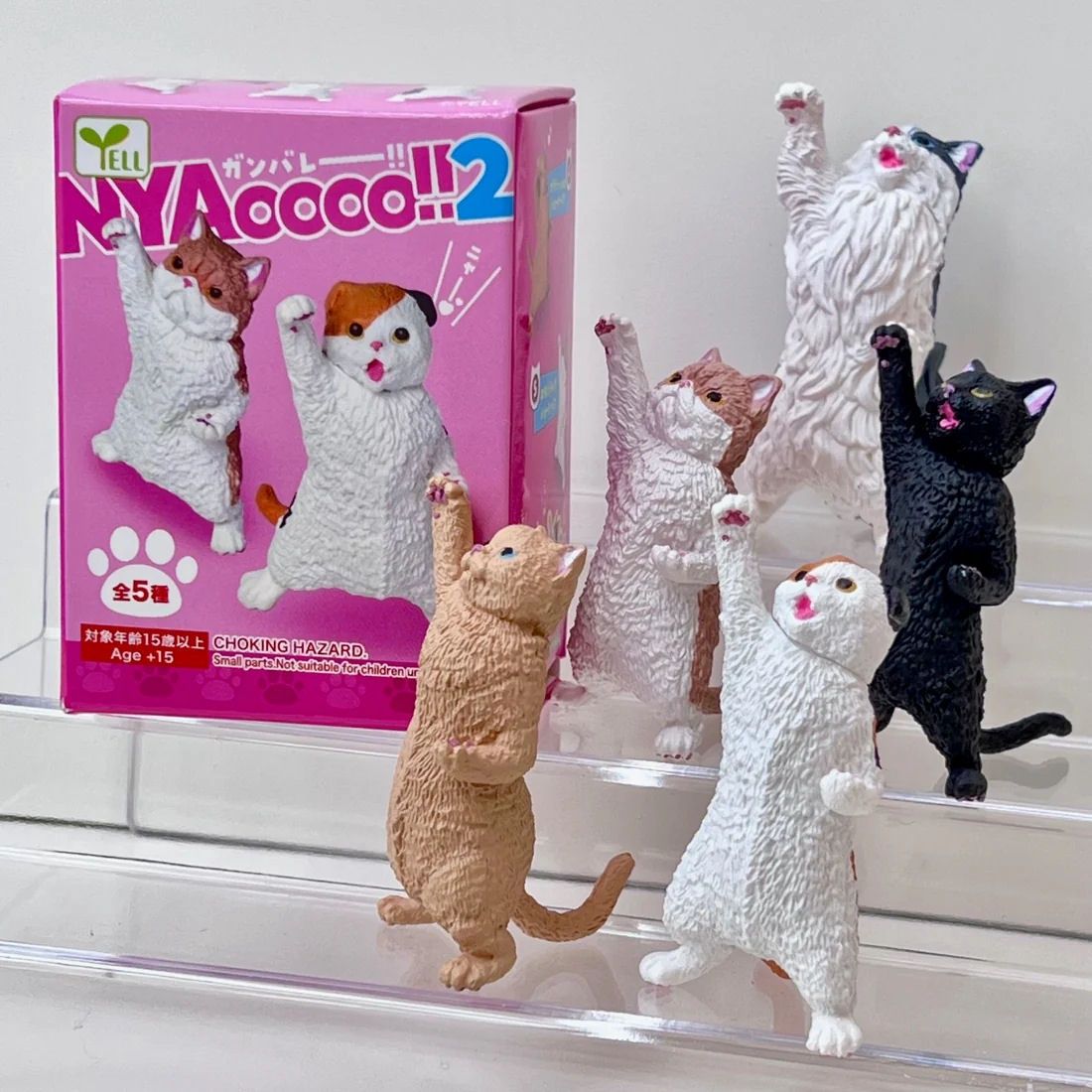 Cheering Cat Nyaooo Volume 2 Blind Box