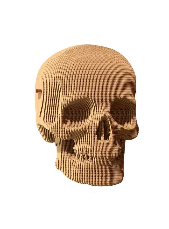 3D Skull Cardboard Puzzle