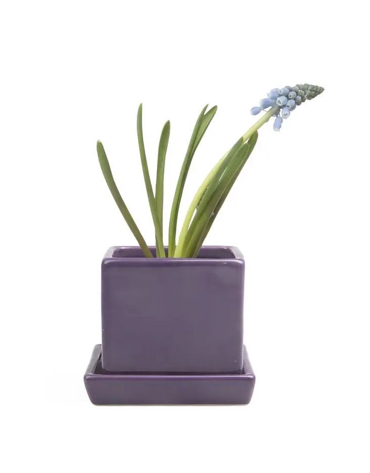 Ultra Violet Cube And Saucer Ceramic Pot