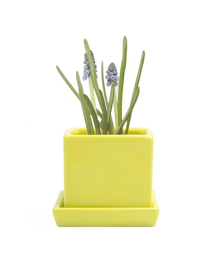 Green Sheen Cube And Saucer Ceramic Pot