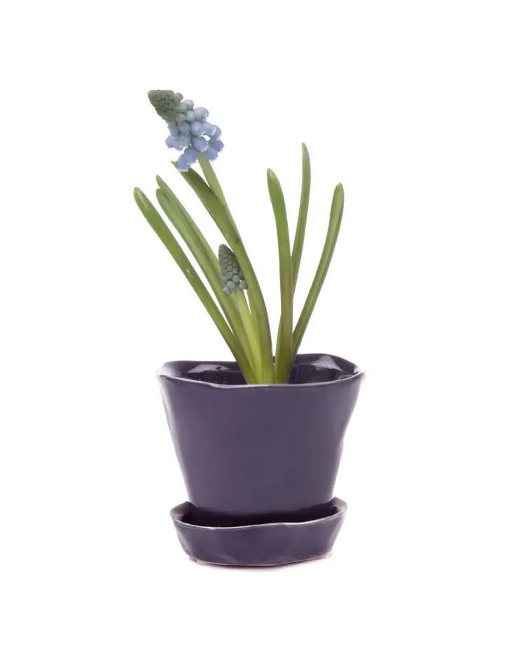 Ultra Violet Tika Ceramic Pot And Saucer With Drainage