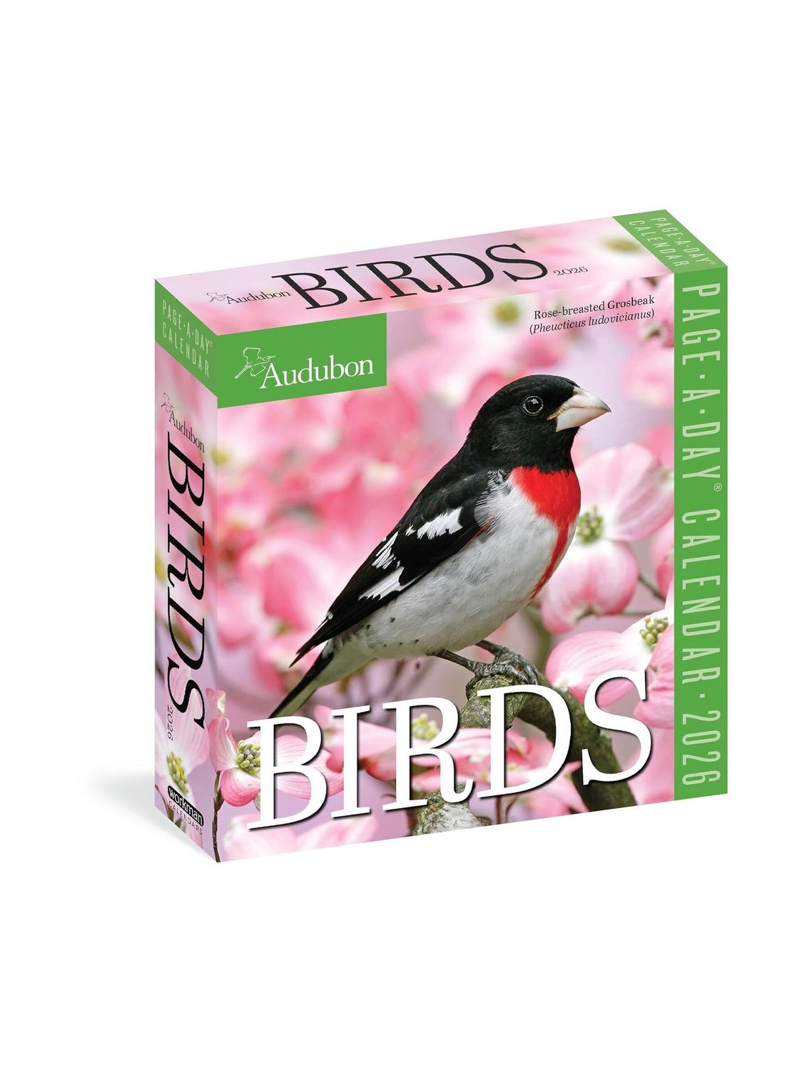 Birds Page-A-Day 2026 Calendar