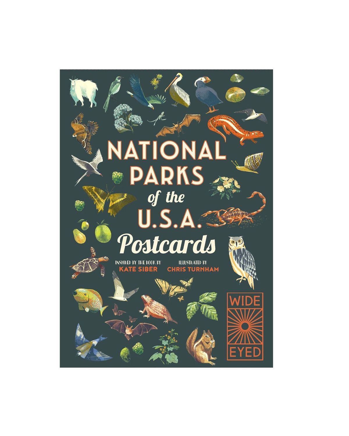 National Parks Of The USA Postcards