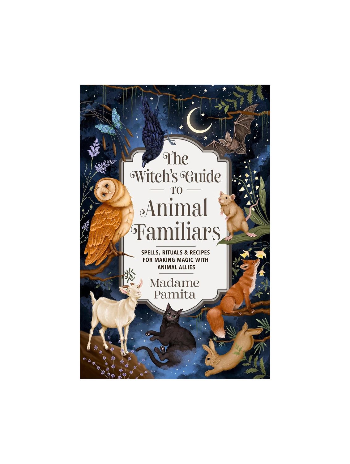 The Witch’s Guide To Animal Familiars Paperback Book