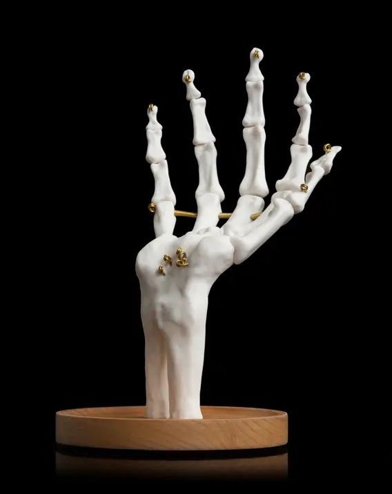 White Skeleton Hand Jewelry Holder