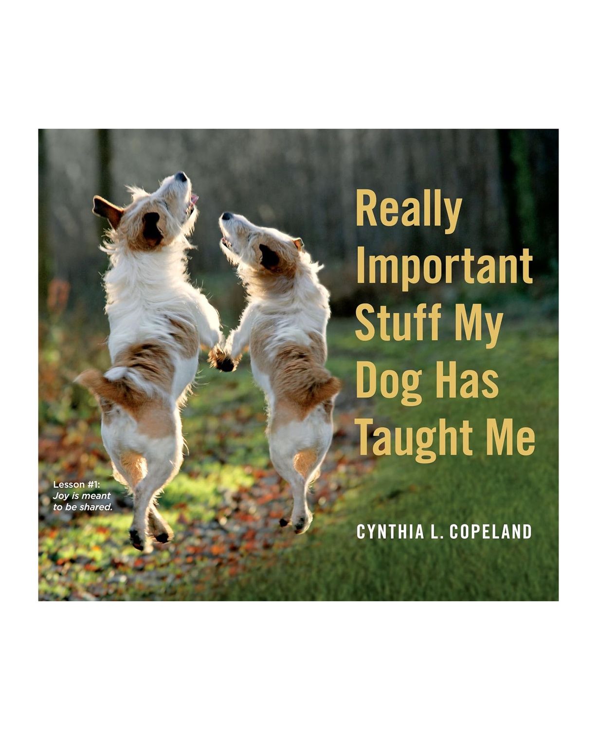 Really Important Stuff My Dog Has Taught Me Paperback Book