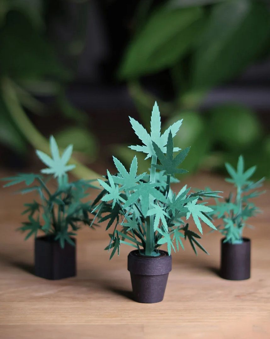 Roll Your Own Weed Plants Origami Kit