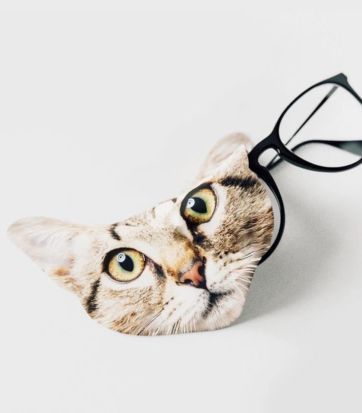 Cat Glasses Lens Cleaning Cloth