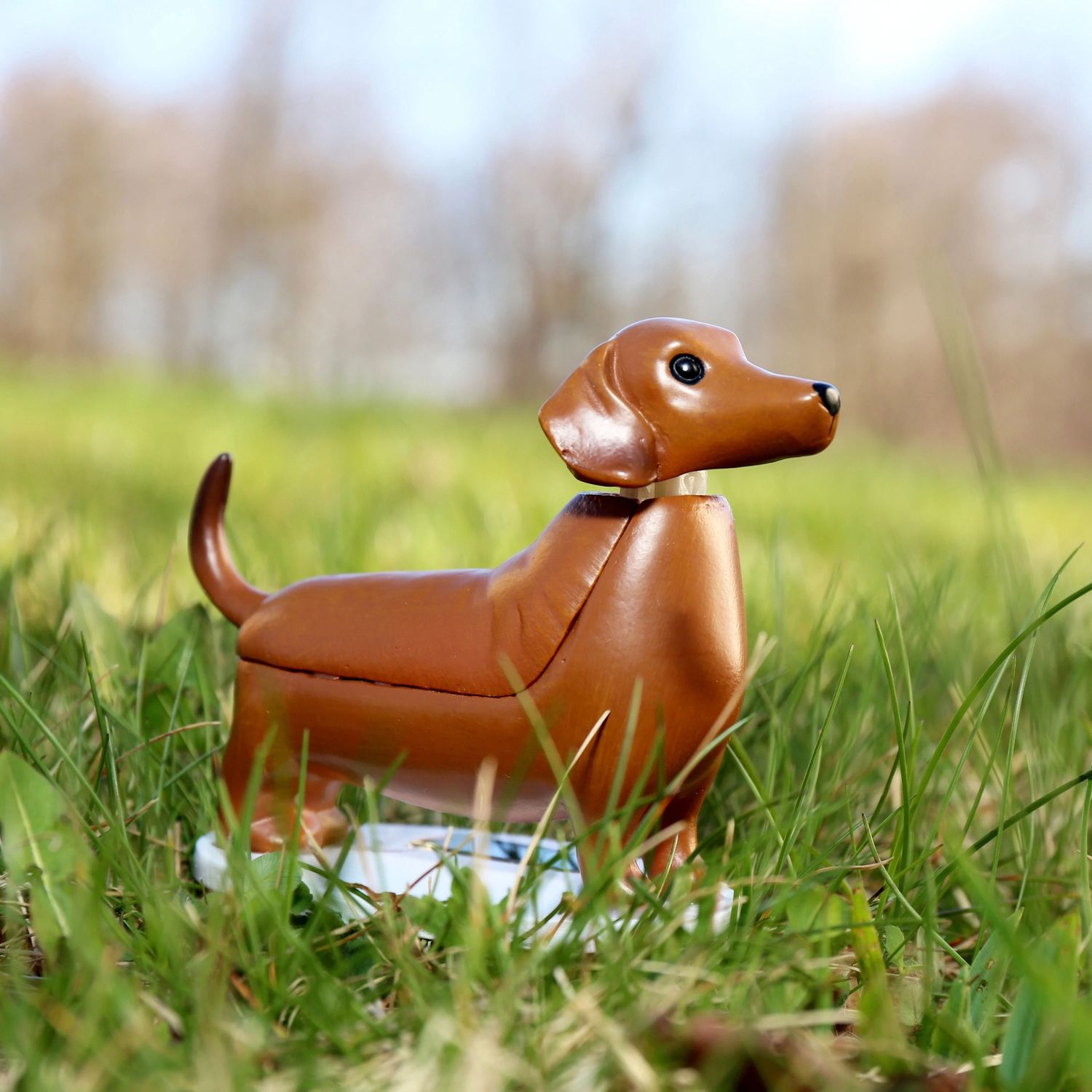 Solar Dachshund