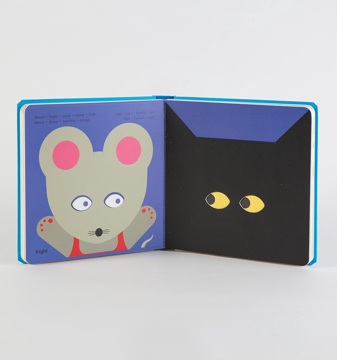 Feelings Touch Think Learn Novelty Book