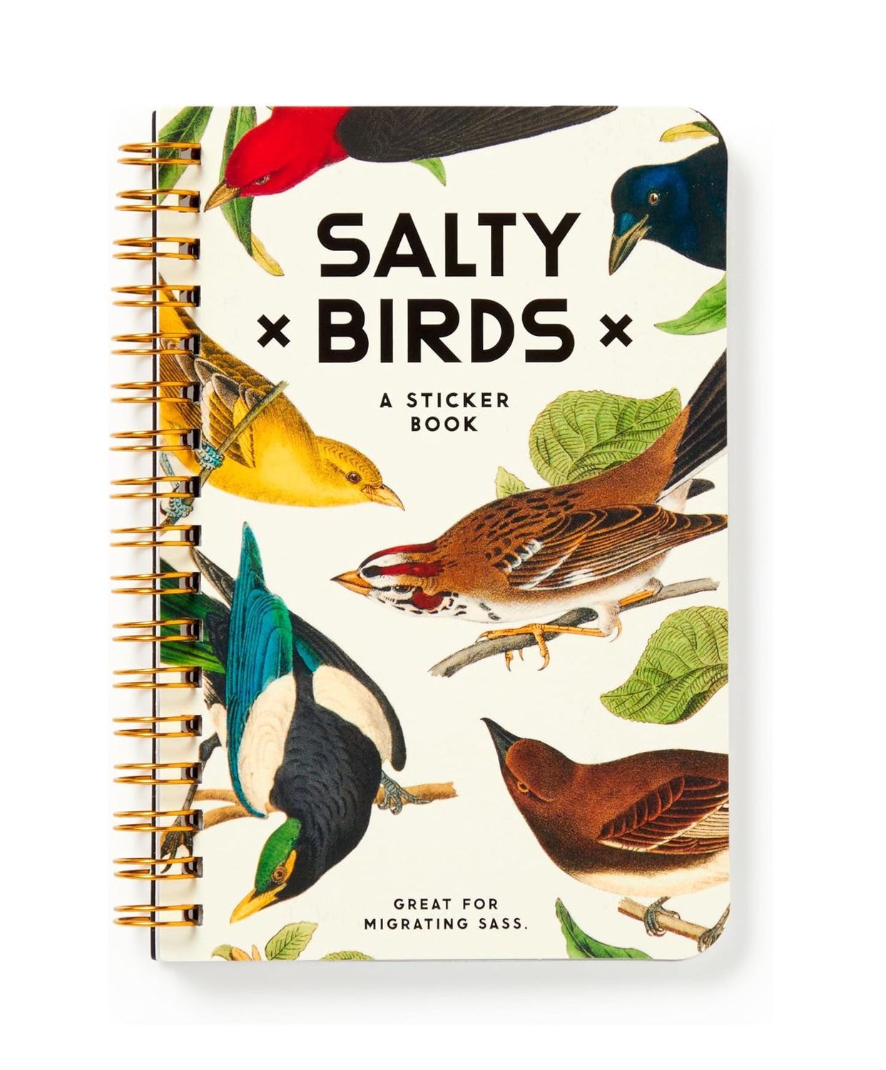 Salty Birds Sticker Book