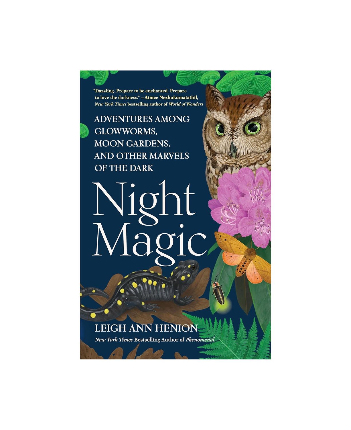Night Magic Hardcover Book