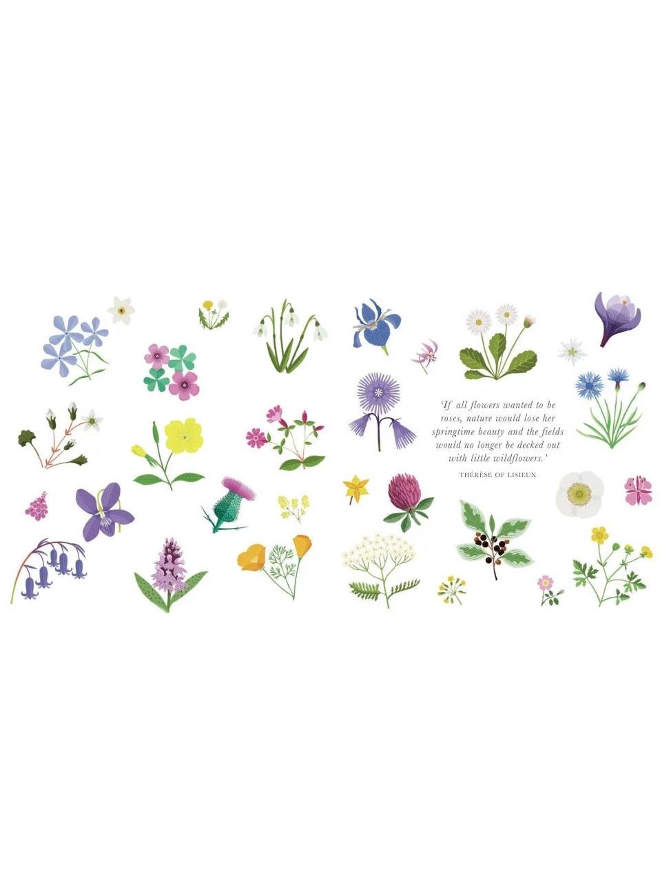 The Little Guide To Wildflowers Hardcover Book