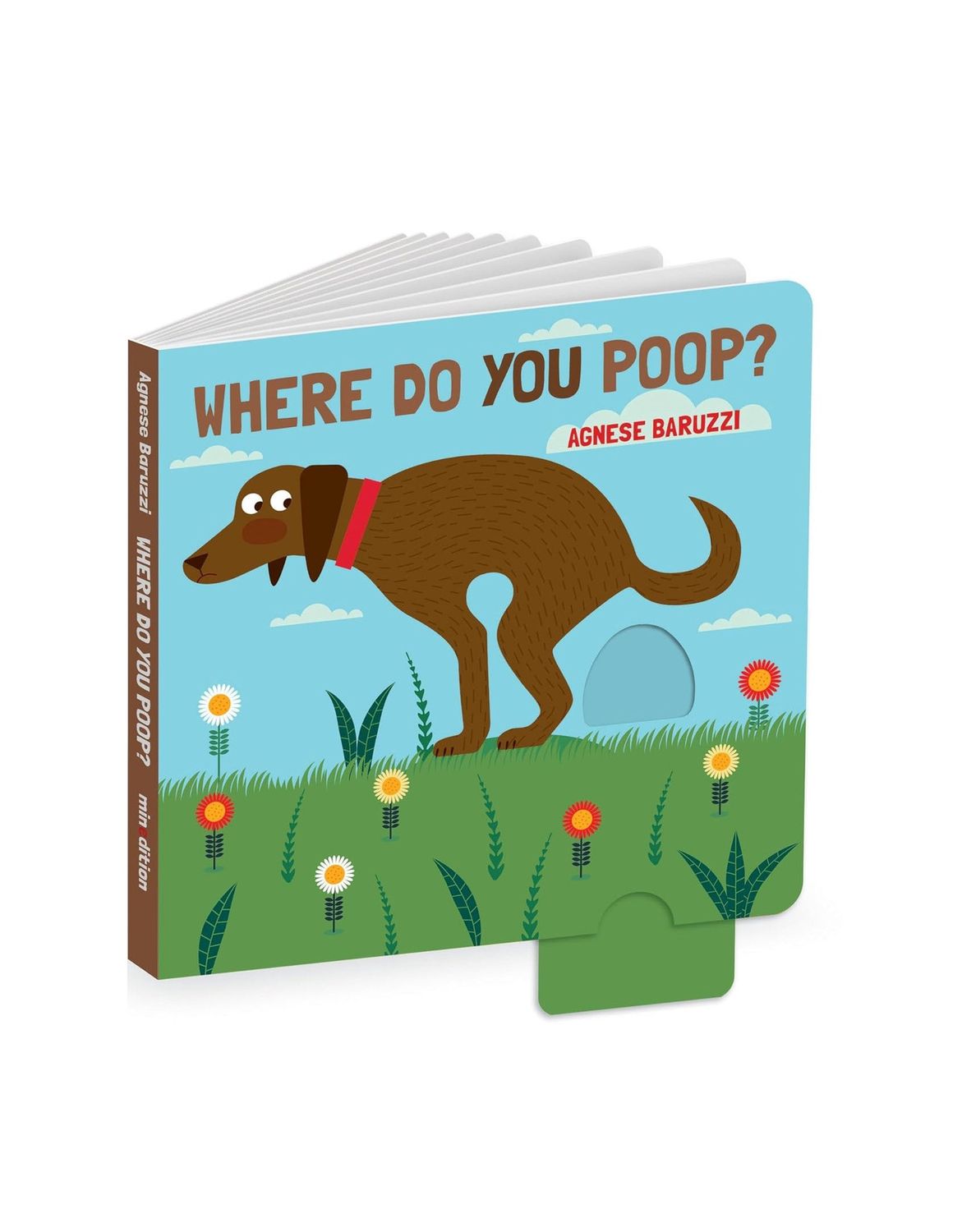 Where Do You Poop? Interactive Board Book