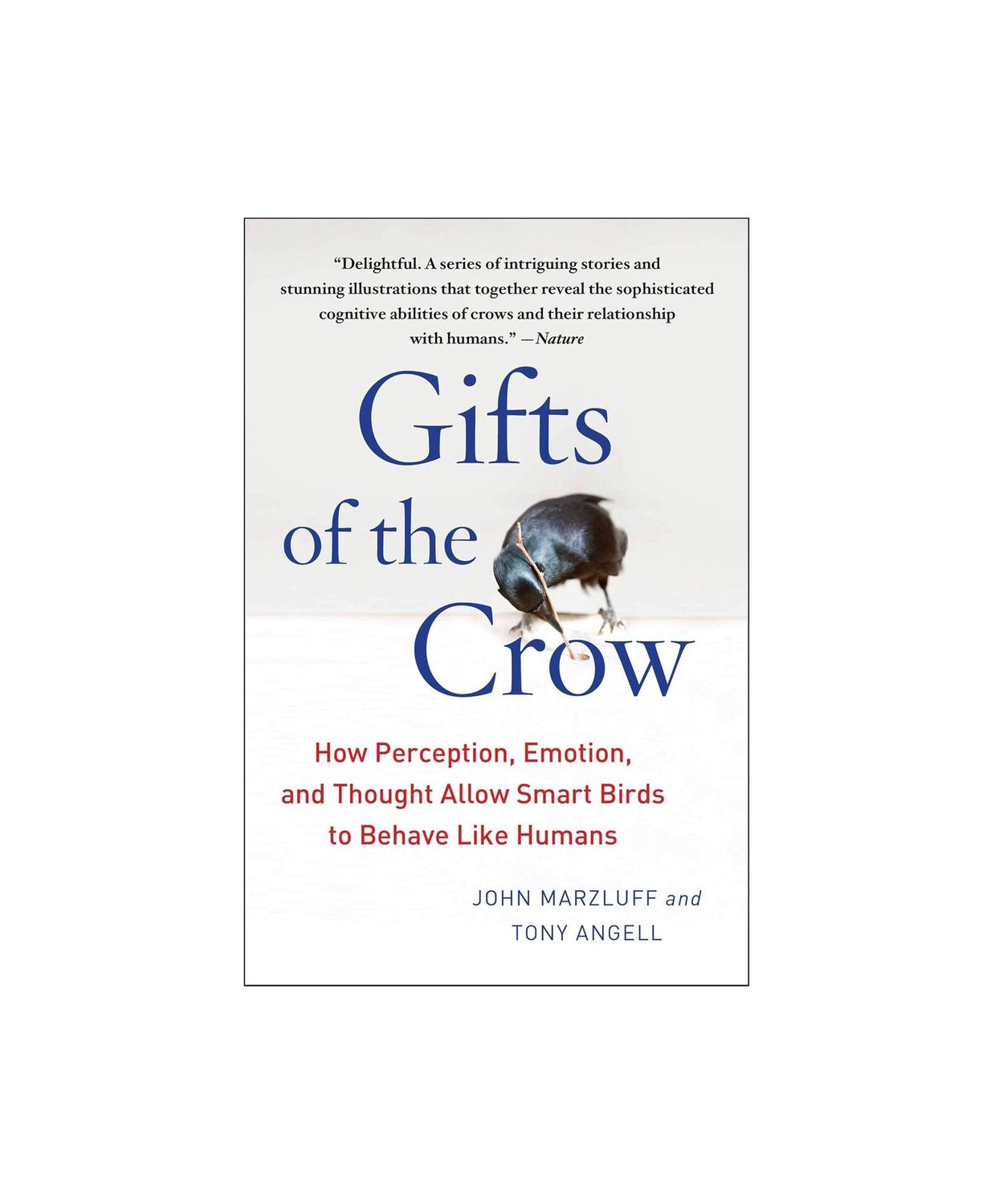 Gifts Of A Crow Paperback Book