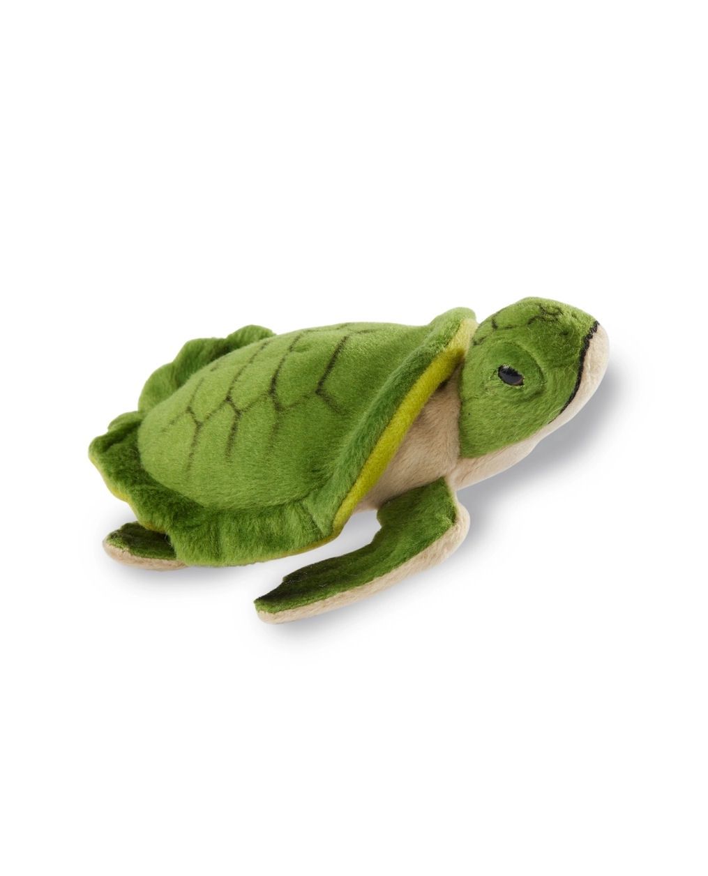 Turtle Glades Stuffed Animal