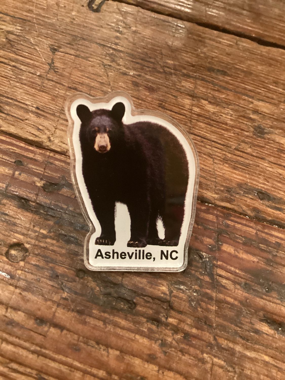 Just Bear Asheville NC Acrylic Pin