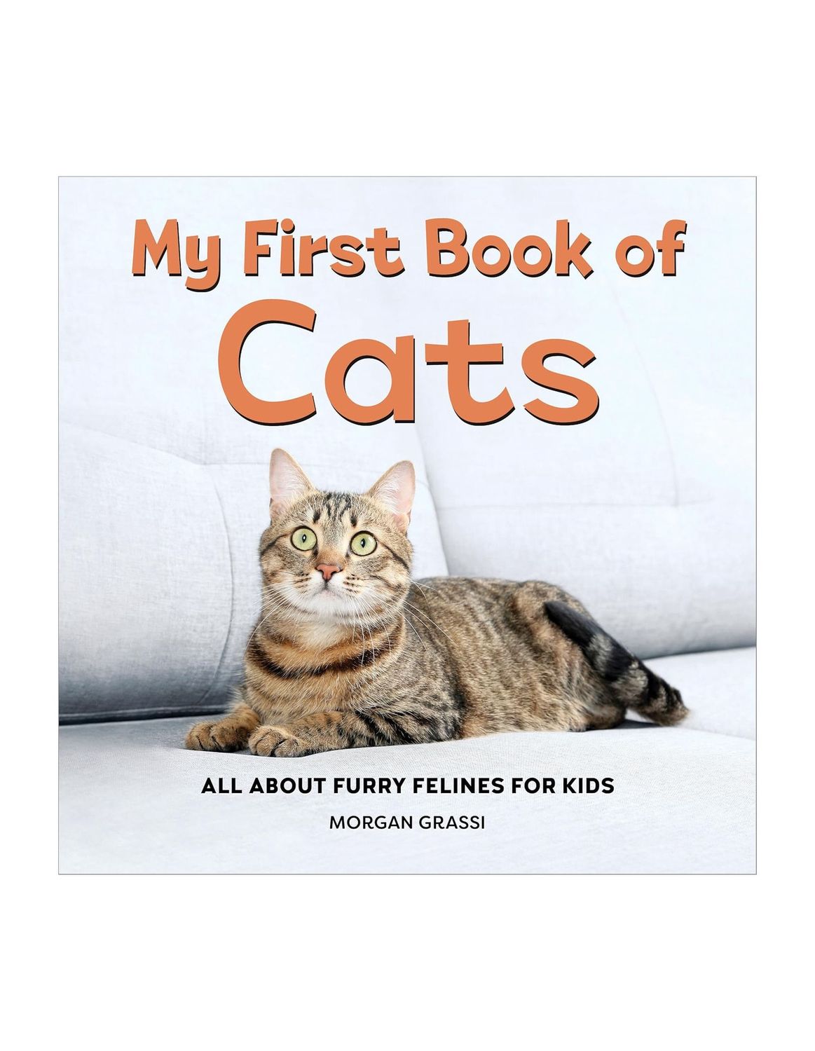 My First Book Of Cats Paperback Book