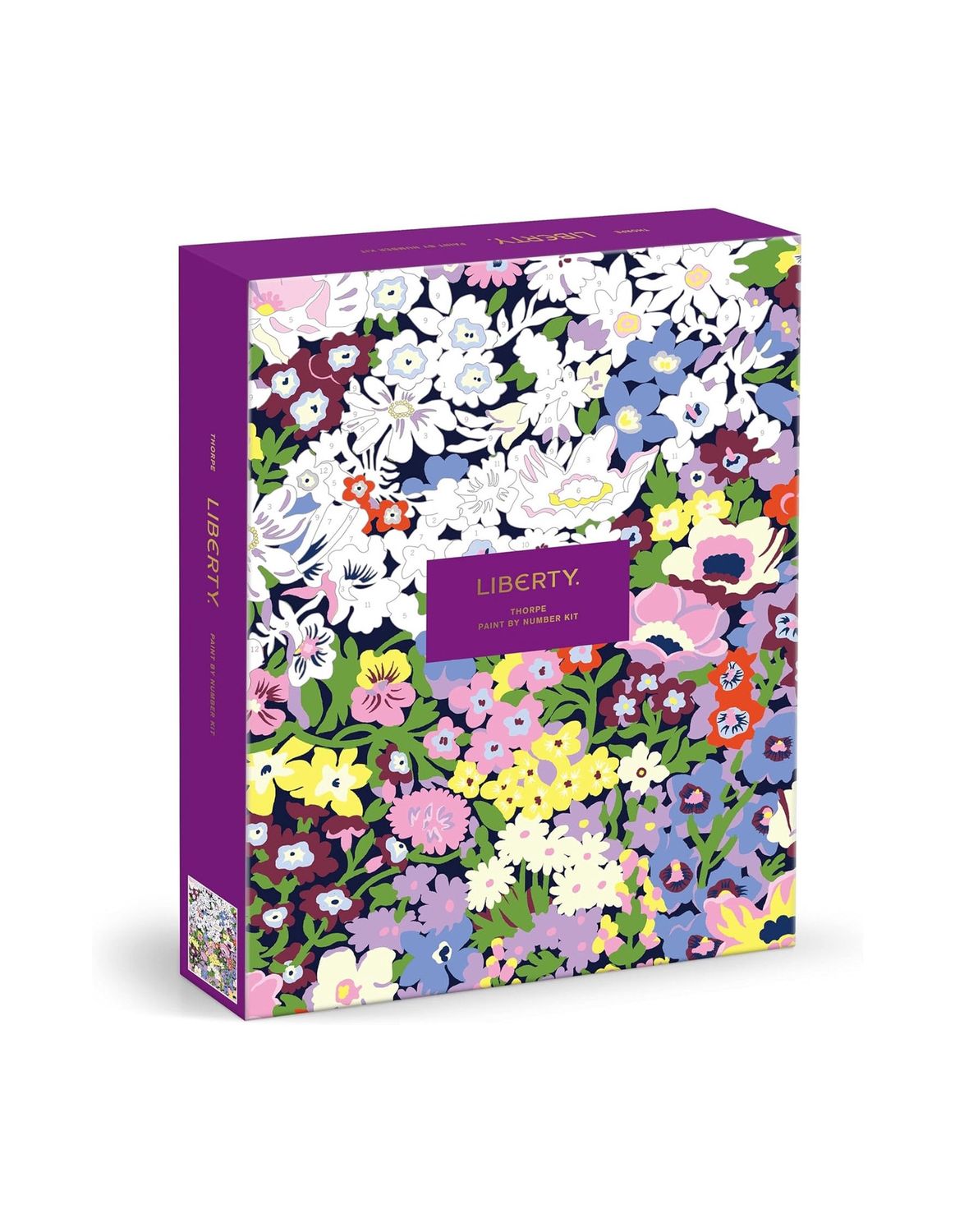 Galison Liberty Thorpe Paint By Numbers Kit