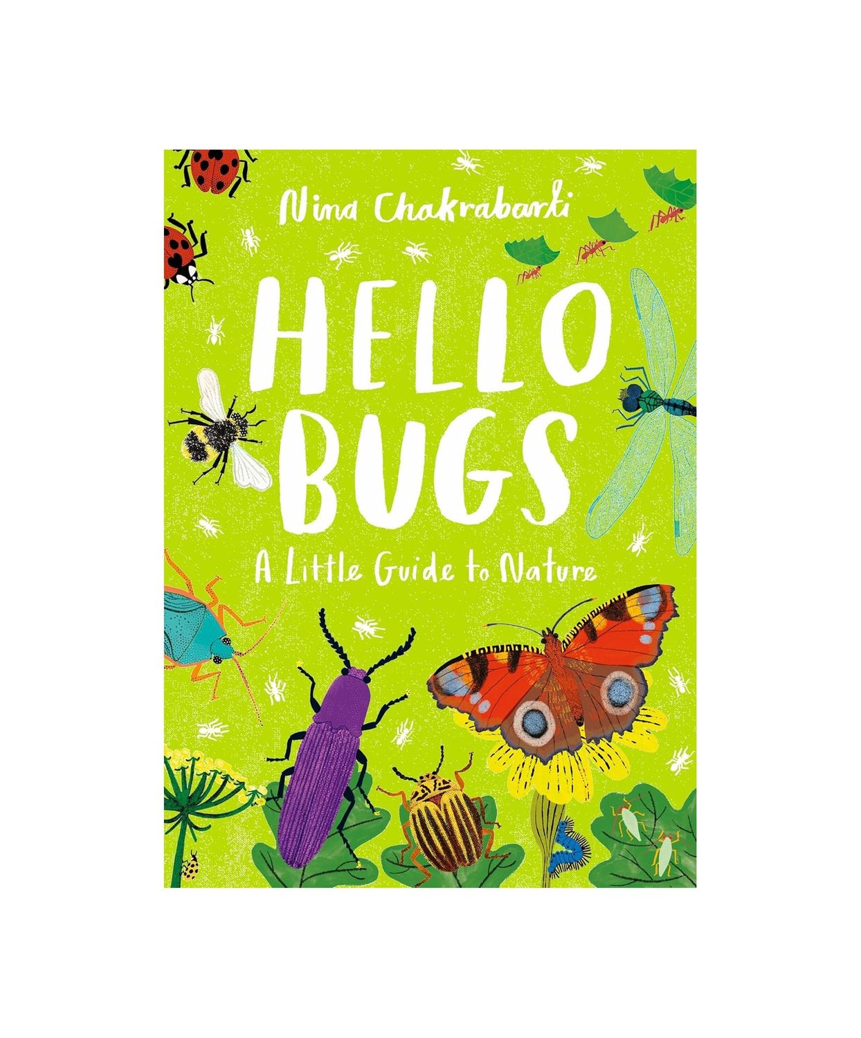 Hello Bugs: A Little Guide To Nature Hardcover Book