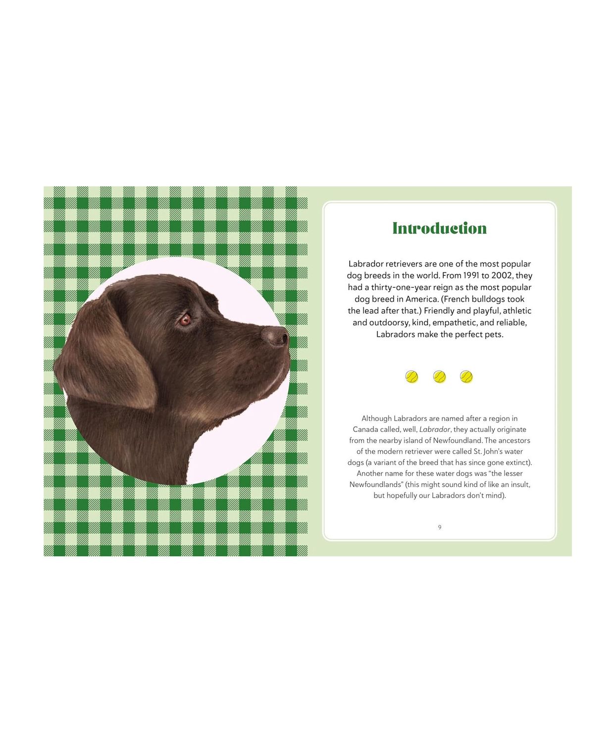 A Labrador Life Hardcover Book