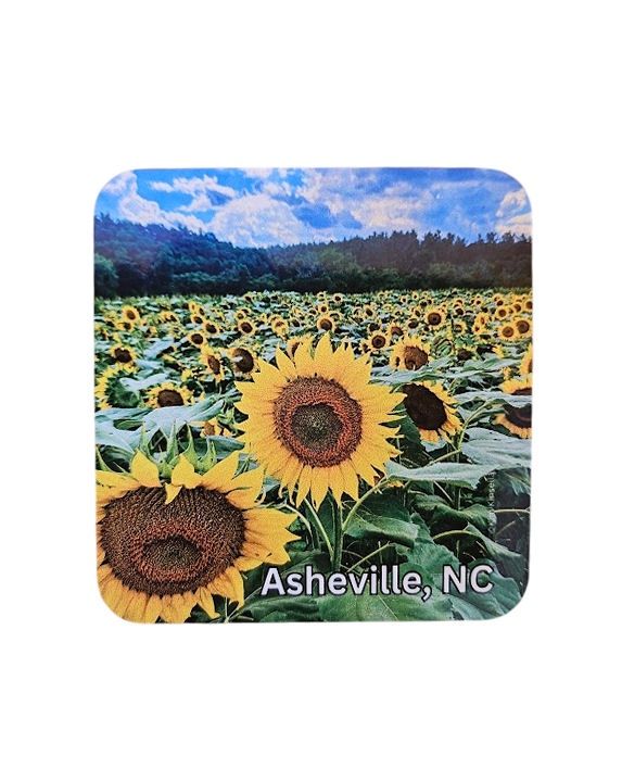 Sunflower Asheville NC Coaster