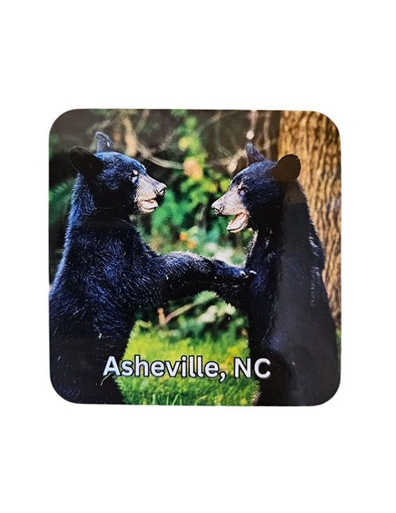 Playing Together Bear Asheville NC Coaster