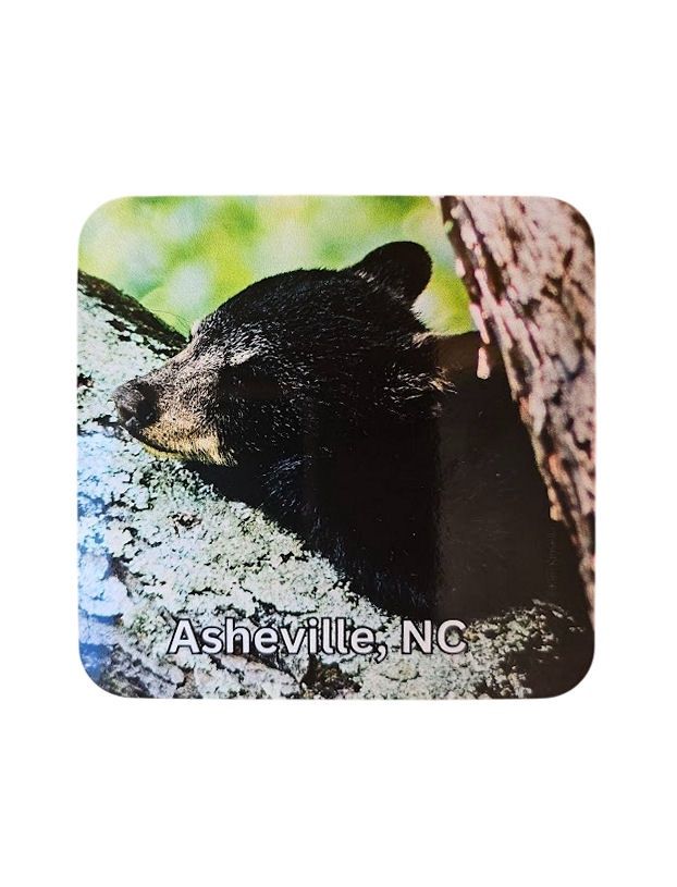 Zonked Out Bear Asheville NC Coaster