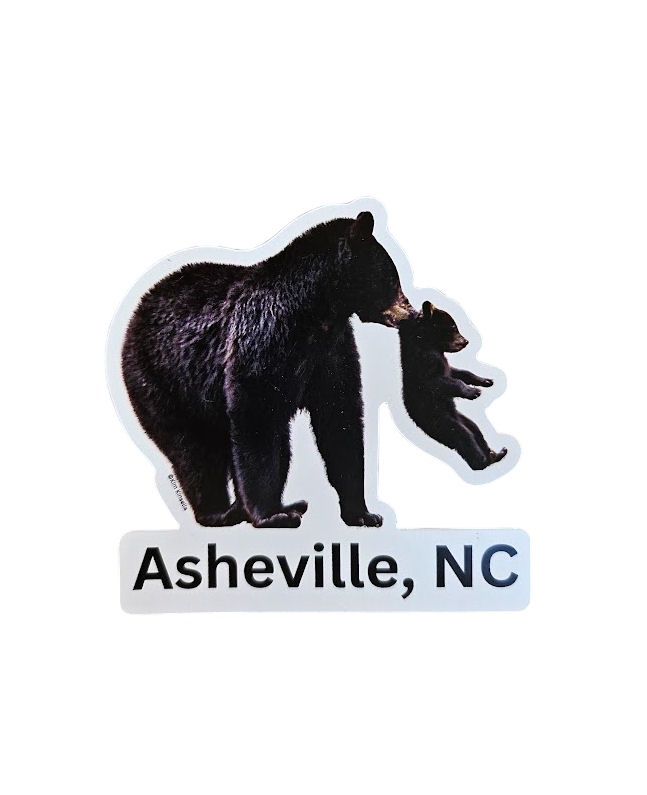 Mama And Cub Bear Asheville NC Magnet