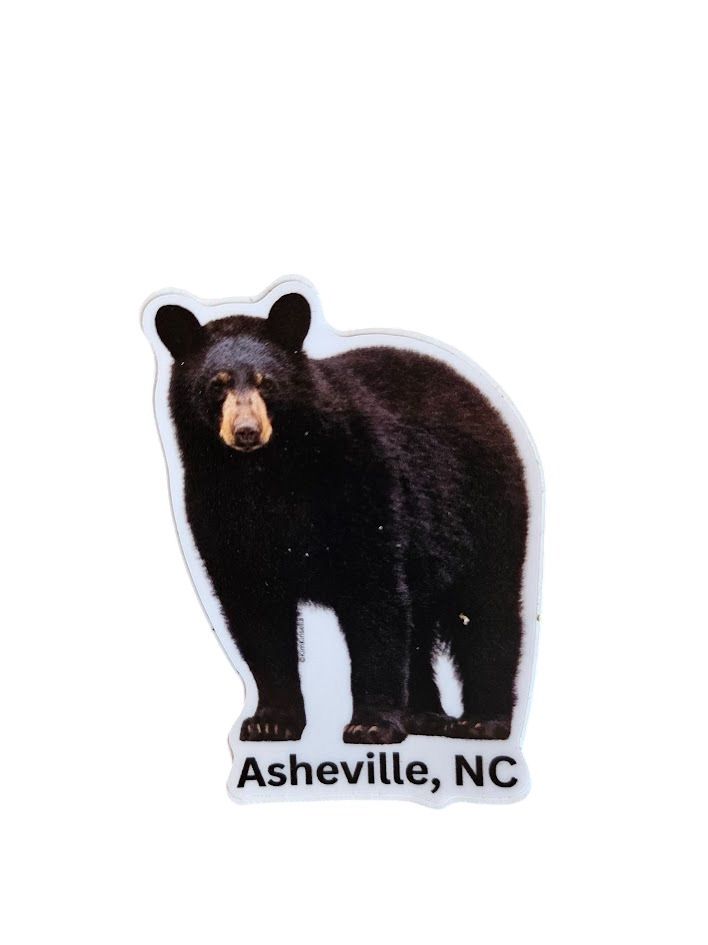 Just Bear Asheville NC Magnet